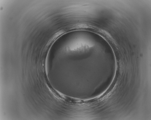 X0000064741225200602171659