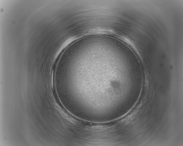 X0000064741227200602171659