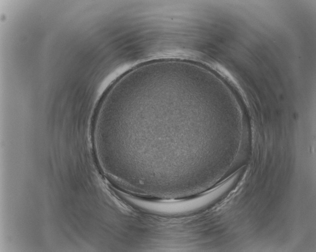 X0000064741230200602171659