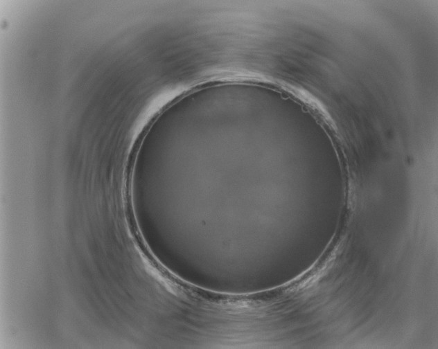 X0000064741231200602171659