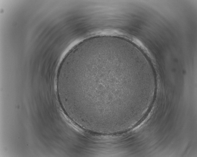 X0000064741232200602171659