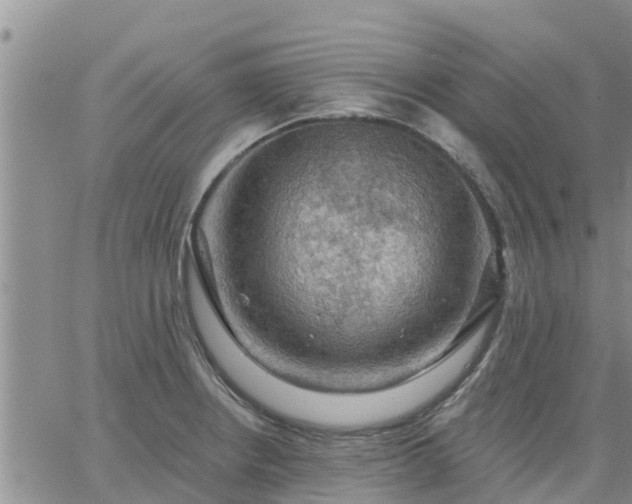 X0000064741234200602171659