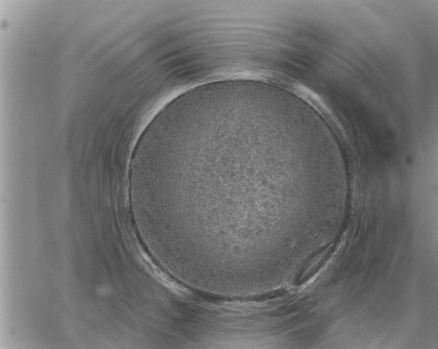 X0000064741236200602171659