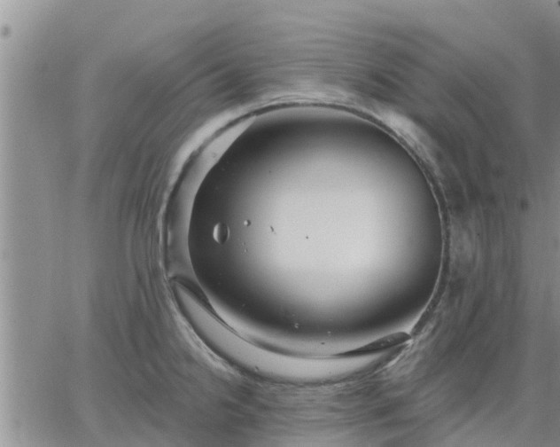 X0000064741238200602171659