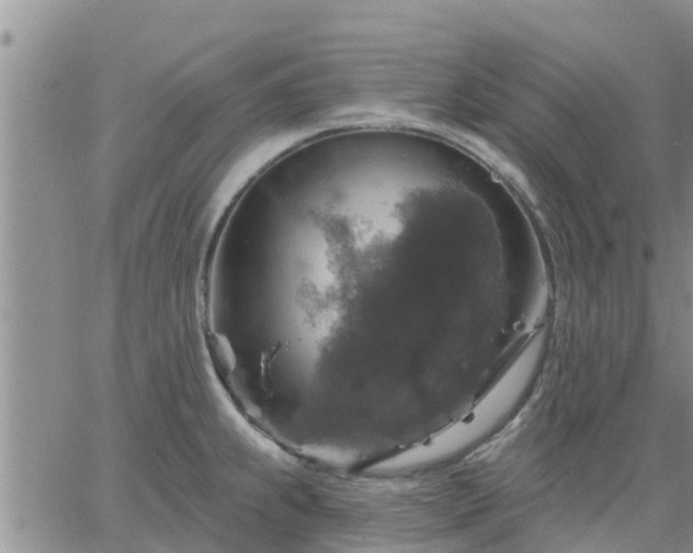 X0000064741239200602171659