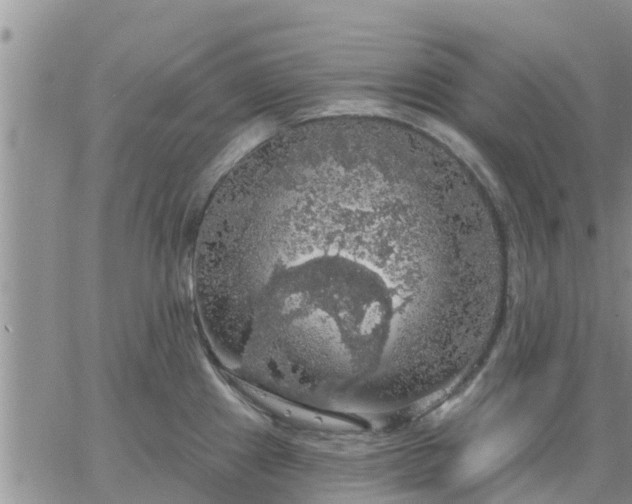 X0000064741241200602171659