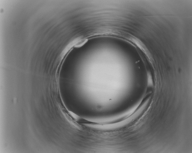 X0000064741242200602171659