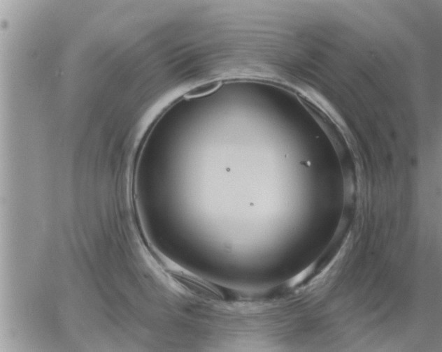 X0000064741246200602171659