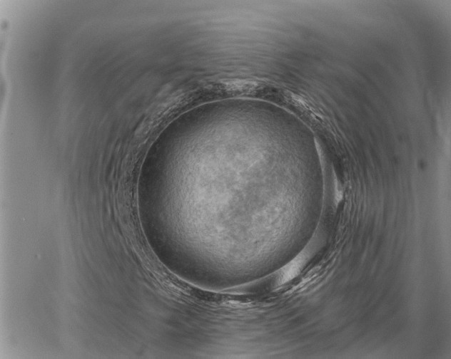 X0000064741249200602171658