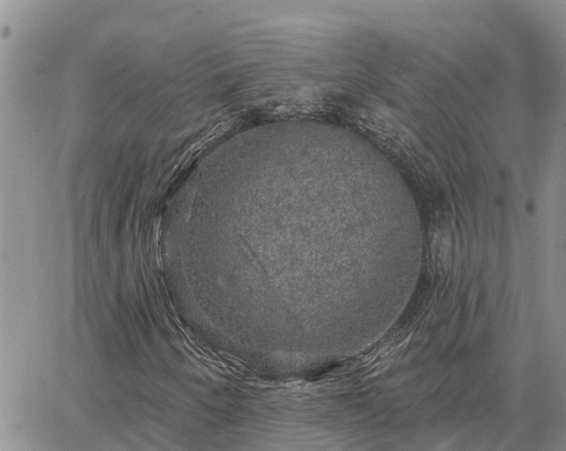 X0000064741250200602171658