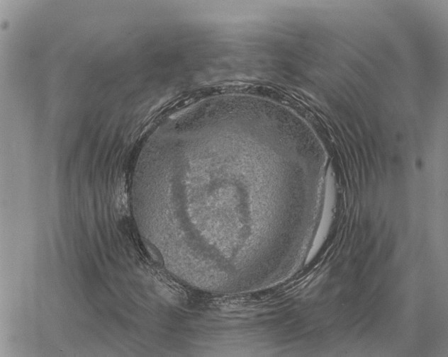 X0000064741252200602171658