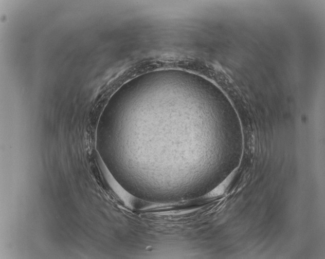 X0000064741253200602171658