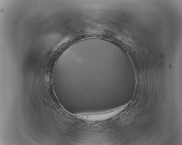 X0000064741254200602171658