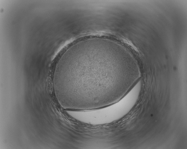 X0000064741256200602171658