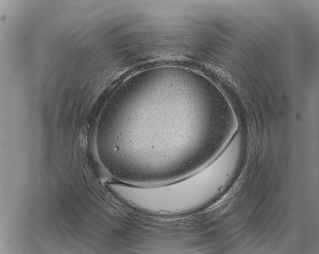 X0000064741257200602171658