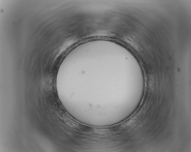 X0000064741258200602171658