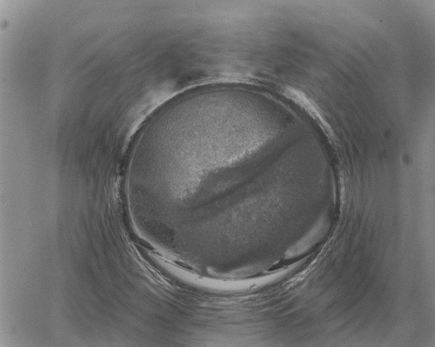 X0000064741260200602171658