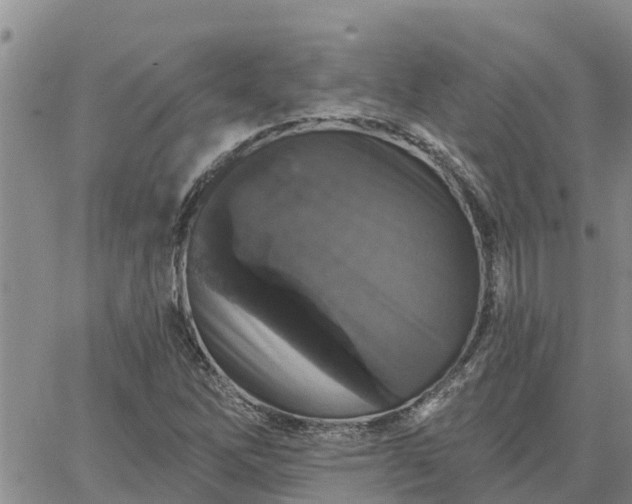 X0000064741262200602171658