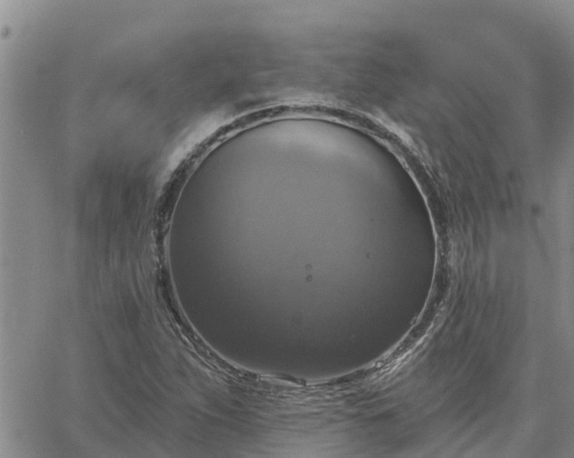 X0000064741263200602171658