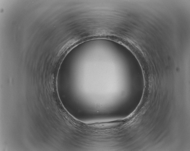 X0000064741265200602171658