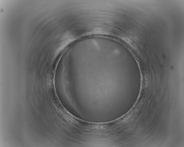 X0000064741266200602171658