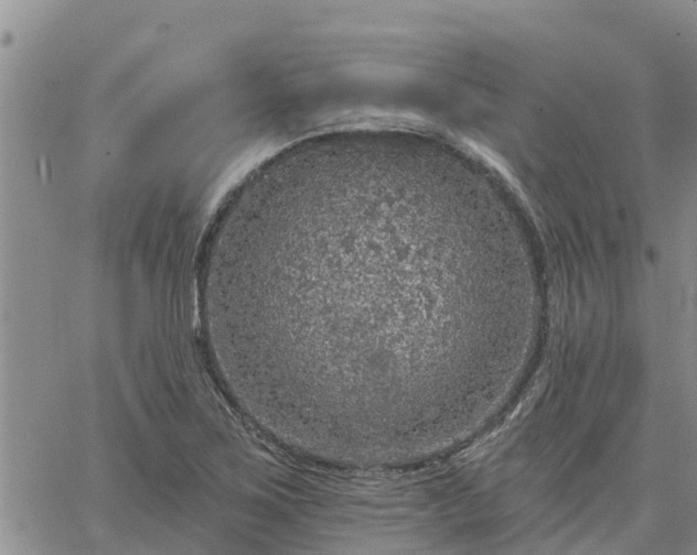 X0000064741267200602171658