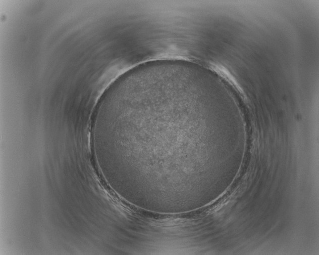 X0000064741268200602171658