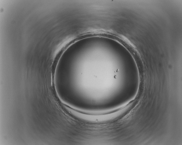 X0000064741269200602171658