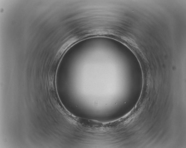 X0000064741273200602171658