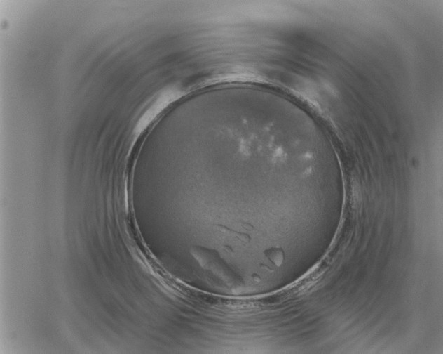 X0000064741274200602171658