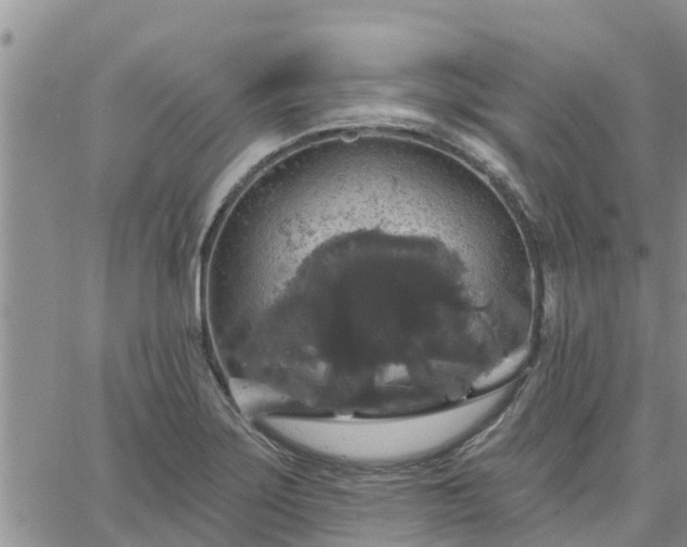 X0000064741275200602171658