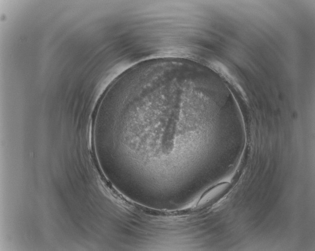 X0000064741276200602171658