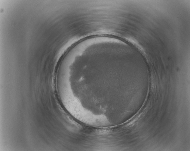 X0000064741278200602171658