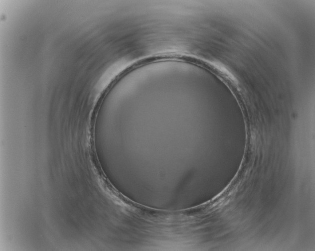 X0000064741279200602171658