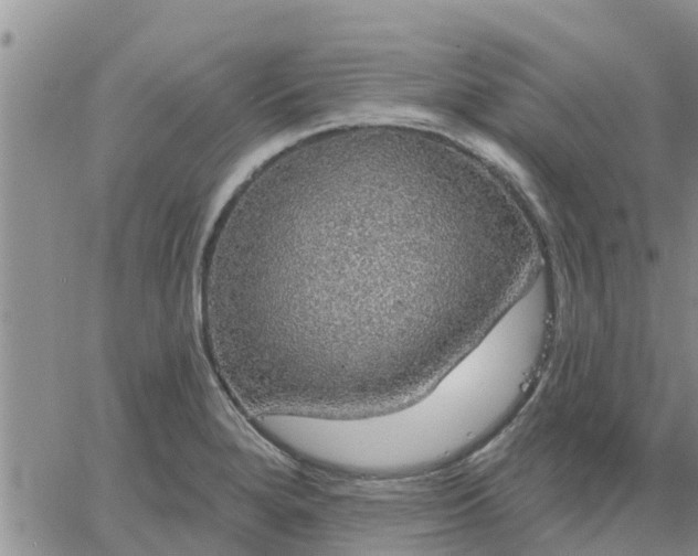 X0000064741280200602171658