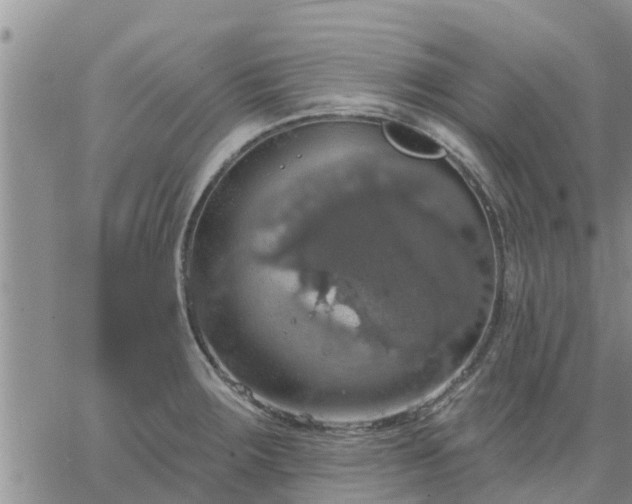 X0000064741283200602171658