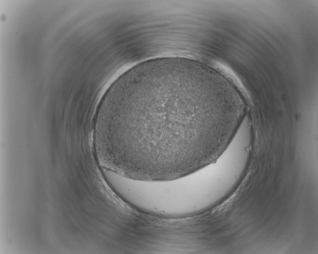 X0000064741284200602171658