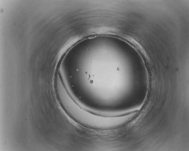 X0000064741285200602171658