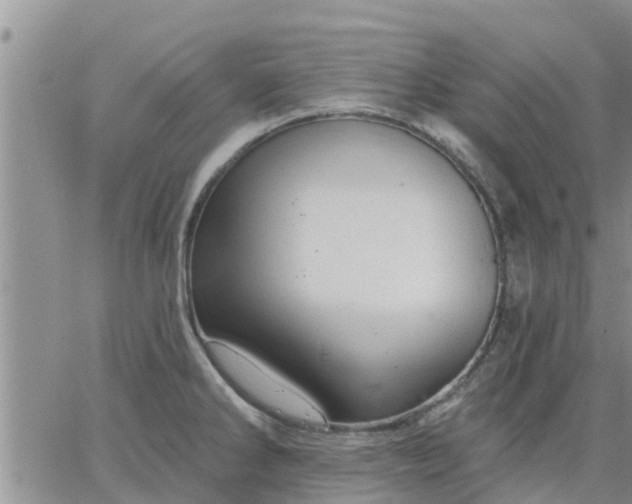 X0000064741286200602171658