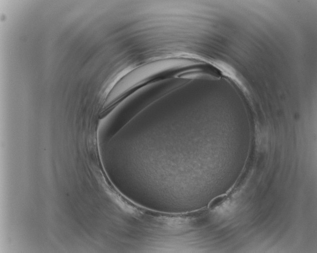 X0000064741289200602171658