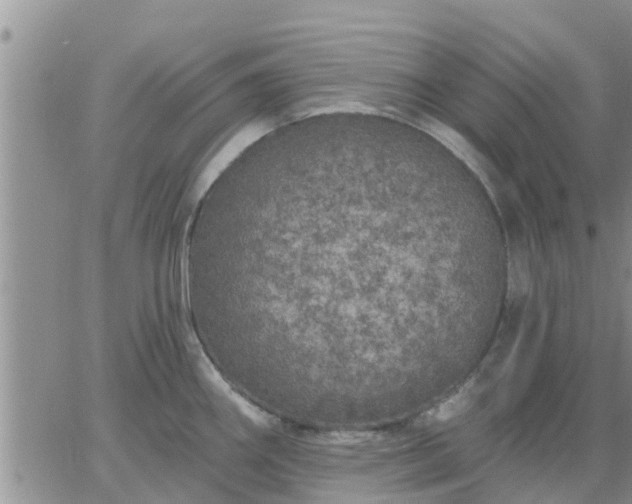 X0000064741290200602171658