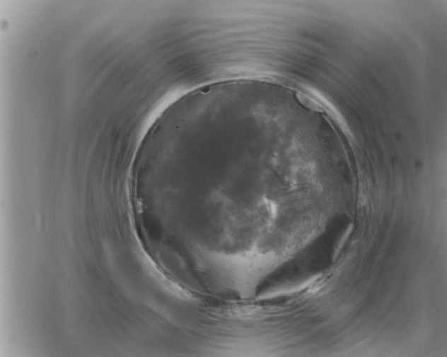 X0000064741291200602171658