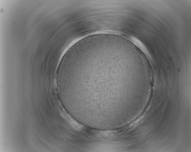 X0000064741292200602171657