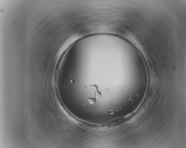 X0000064741293200602171657