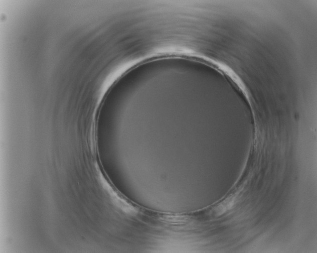 X0000064741295200602171657