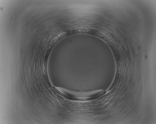 X0000064741298200602171657