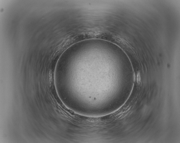 X0000064741299200602171657