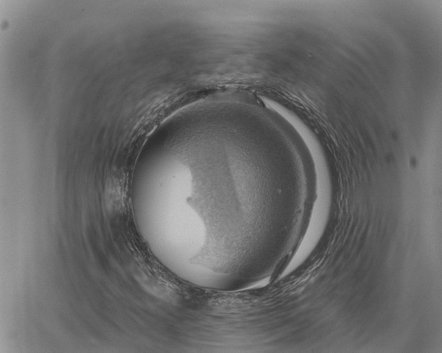 X0000064741300200602171657