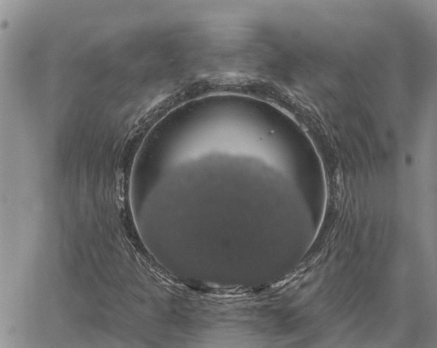 X0000064741301200602171657