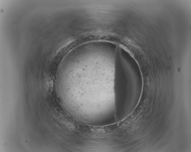 X0000064741302200602171657